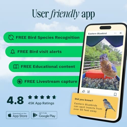 Bird watching app features and ratings displayed with an Eastern Bluebird on a phone screen.