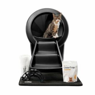 Cat on automated litter box with accessories